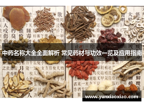 中药名称大全全面解析 常见药材与功效一览及应用指南