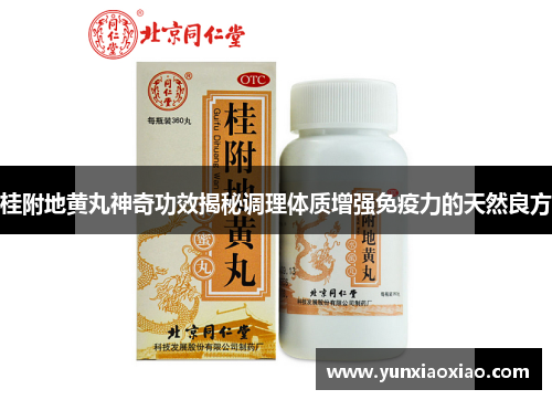 桂附地黄丸神奇功效揭秘调理体质增强免疫力的天然良方